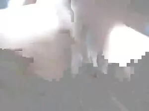 Chearleader plaît au ...