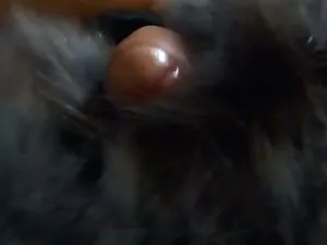 Enveloppé et grosse  ...